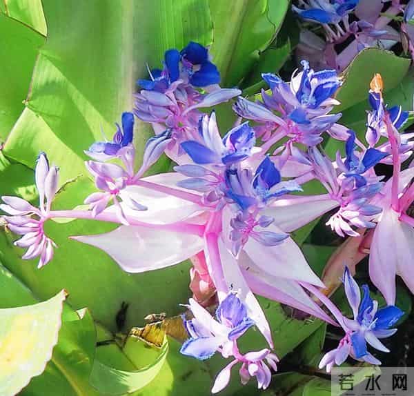 我们之间没有什么好说的,我对你失望透顶