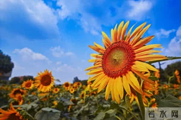 六十五岁以后,最好的活法,屏蔽掉外在的一切干扰