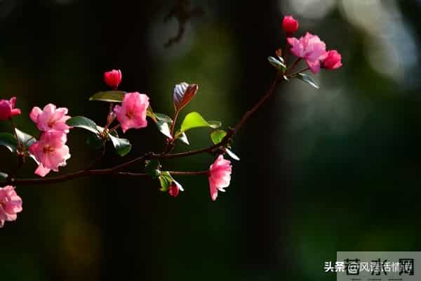 揭秘:女人喜不喜欢你,看她抗不抗拒这几个动作就够了