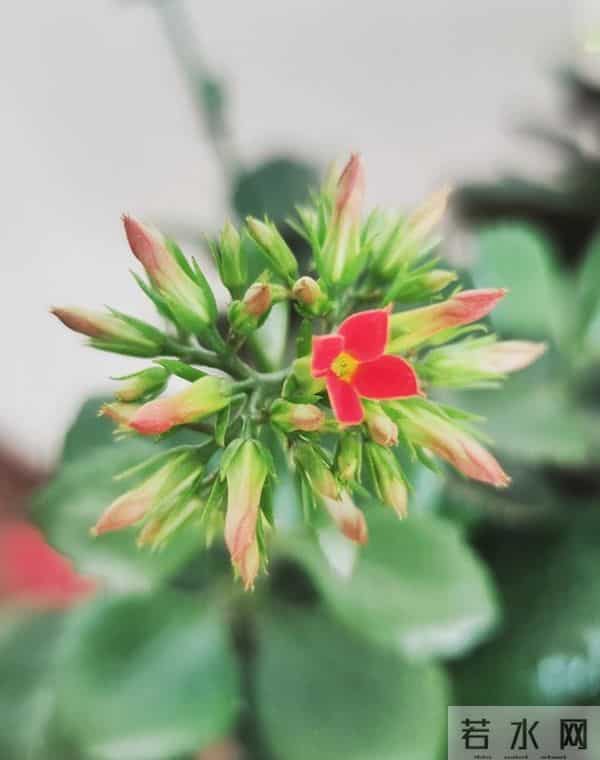 让女人彻底爱上的,往往是这样对待她的男人