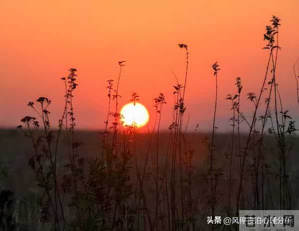 枕边人有外心后,只要原配清醒,背叛者的结局就这两种