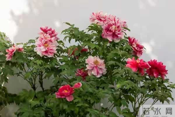 请告诉女儿:第一次去男方家,这几件事别做,才不会被人看不起!