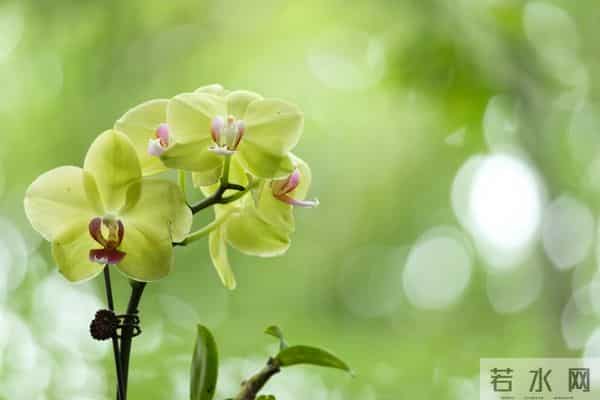 两性关系：男人过六十，永远不要在妻子面前，做这4件事