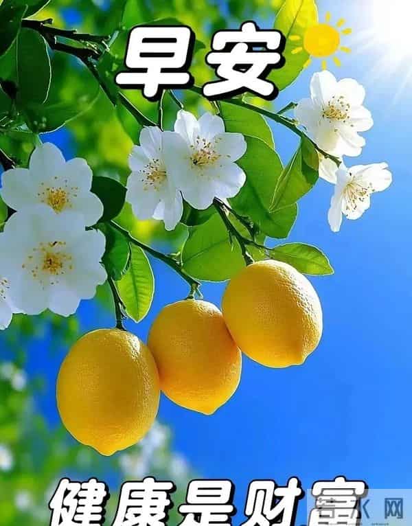 新的一天,新的开始!一句早安,温暖心房;一份祝福,伴你身旁。