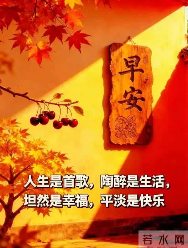 11月27日早上好 早上好清新淡雅图片 早上好图片最新今天 每日问候