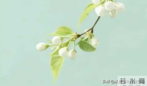 有人疯狂想着你时，你是有感应的