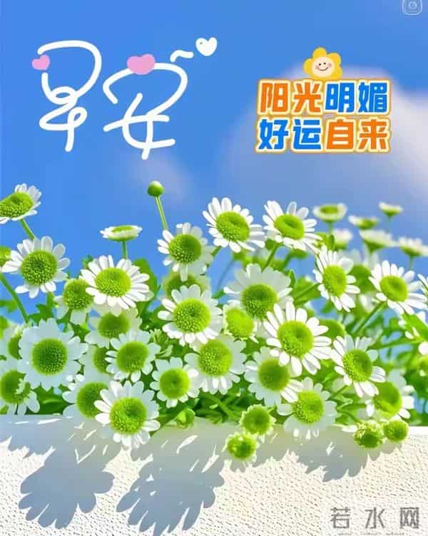 早上最新经典问候图（145）