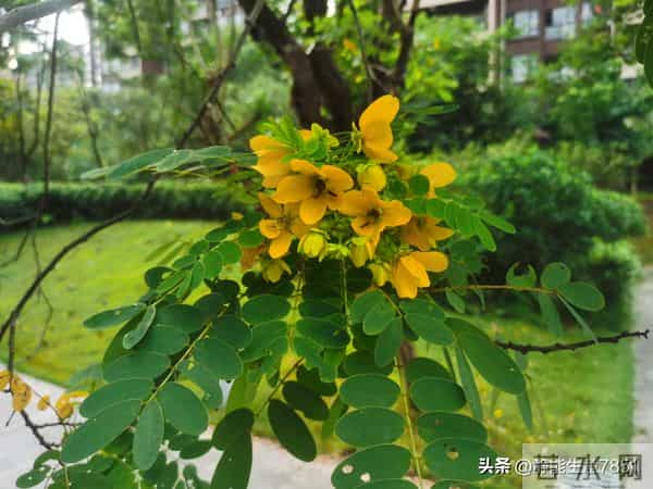 人生最大的勇敢,就是经历伤害之后,还能保持信任和爱的能力。