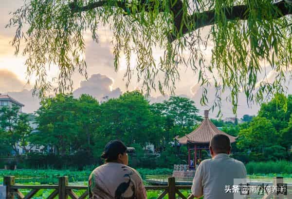 我55岁,相亲男给8000零花钱,但要满足四个要求,听完我拔腿就走