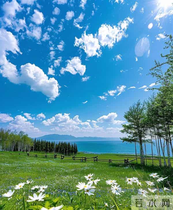 两性关系：晚年的“异性缘”：不是幸运降临，是你值得被温柔以待