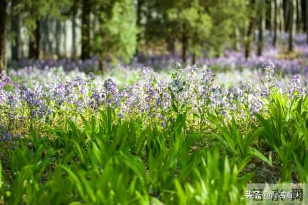 女人愿不愿意让你“泡”，看她是否拒绝这三件事，没拒绝就有戏