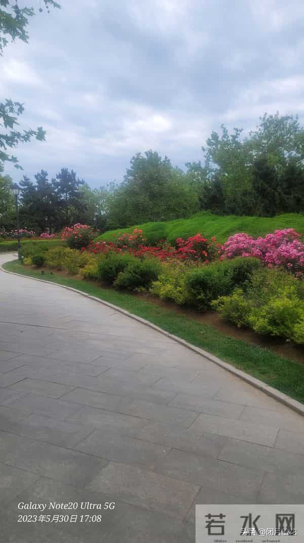 半生风雨半生悟：释怀才是人生的解药