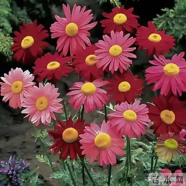 退休2年突然悟道:我不主动联系他人,他人就不会主动找我,究