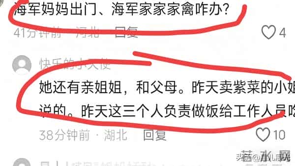 谢妈买新车 海军妈孤单在家 她耐心回复网友问题 偶尔农场有家人帮忙