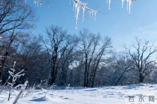 十月一，送寒衣：致我亲爱的爷爷奶奶。