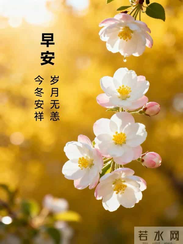 早上好早安祝福美图-岁月无恙，今冬安祥