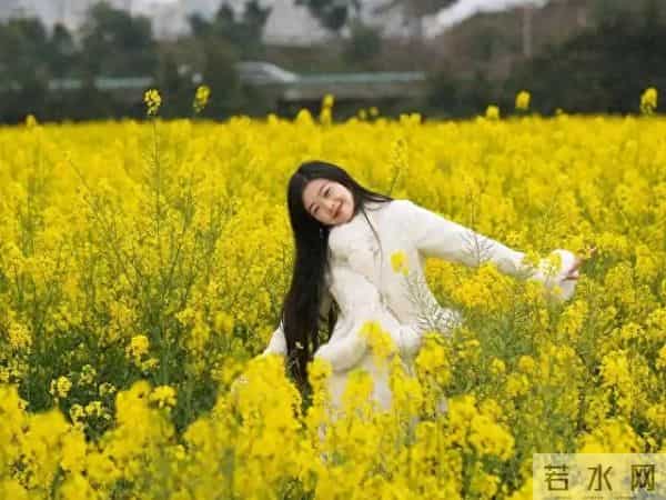 穷是因为追钱,富是因为钱追你!10个吸金法则,看到第5条我悟了