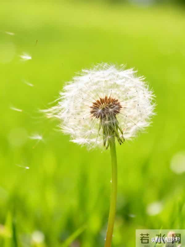 真正的强者,不是从来没有情绪,而是懂得如何与情绪共处。