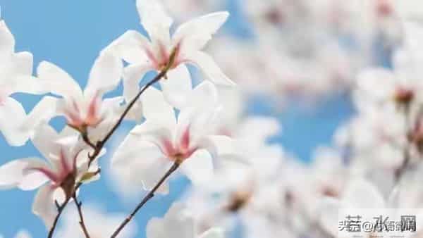 人性潜规则:看懂这30条,为人处世不吃亏,值得收藏