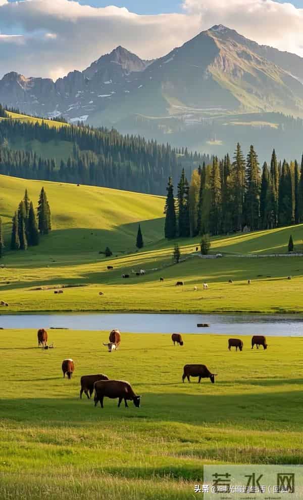 心有清静,万物生长:与生活温柔周旋的智慧