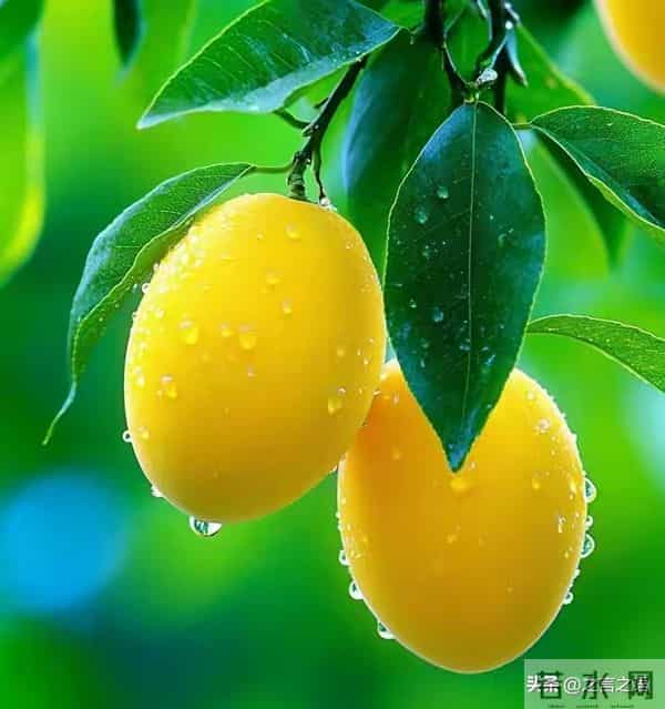 最残忍的社会真相：没几个人盼你好