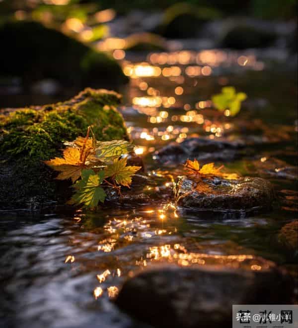 老了才明白：与子女的最高级相处，不是付出，而是“归零”