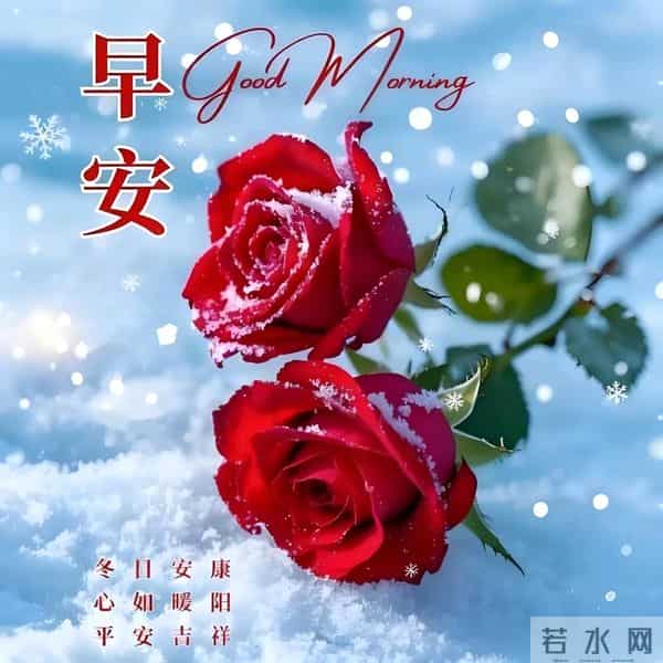 吉祥安康祝福图丨相知无远近，贵在心连心 友谊本无价，祝福在清晨
