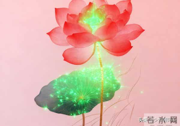 告诉你：「时间、金钱、运气」最好不要借给他人，守住就是大赢家