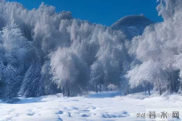 那年母亲去山上捡柴火,遇到一位老人在路边哭泣,母亲做了个决定