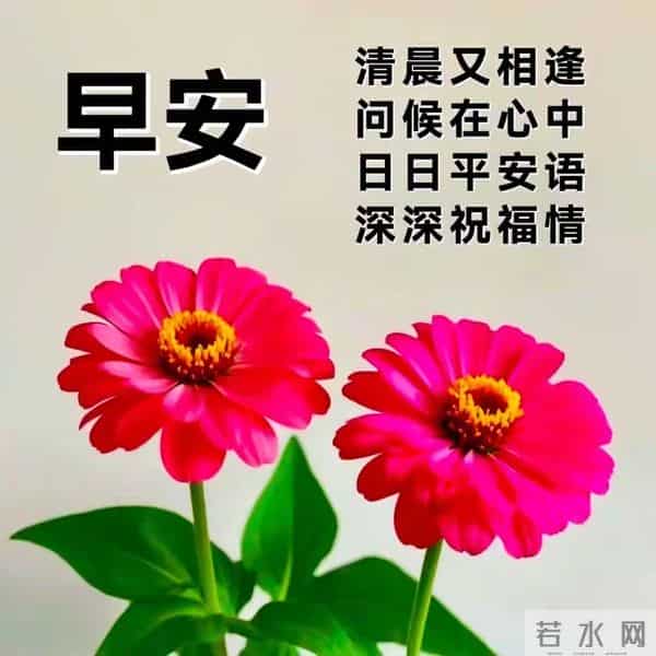 感恩遇见！早安吉祥！