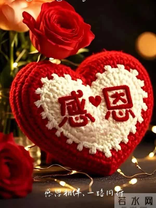 感恩节到了，感谢一路陪伴我的人，感恩有您，风雨同行