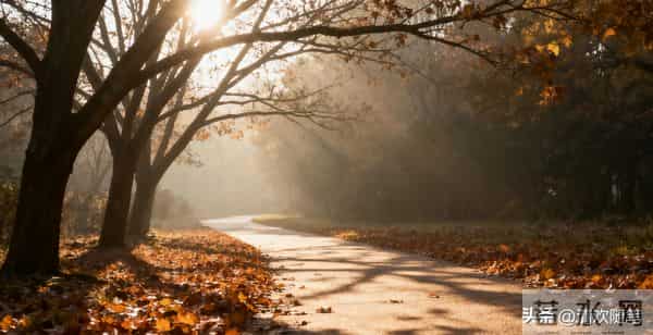 冬安:于清简时光里,种满心暖与从容