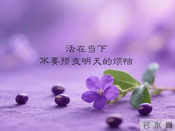 余生很短，别让遗憾太长。