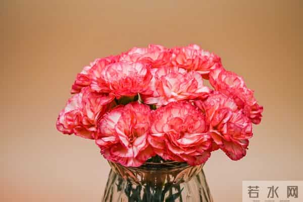 感动十二星座的最佳手段：