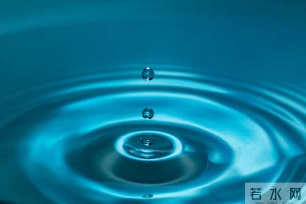 从小到大都很聪明,智商一直都在线的星座