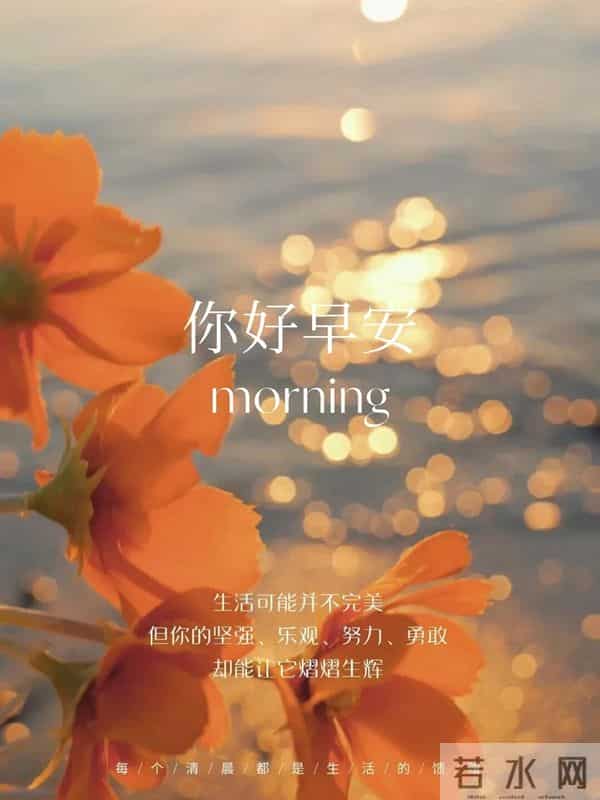 晨光里的花与早安