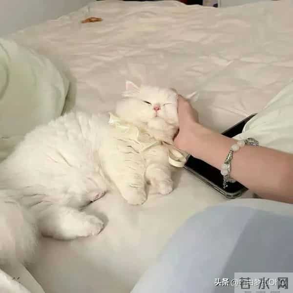 大叔最妒嫉的星座