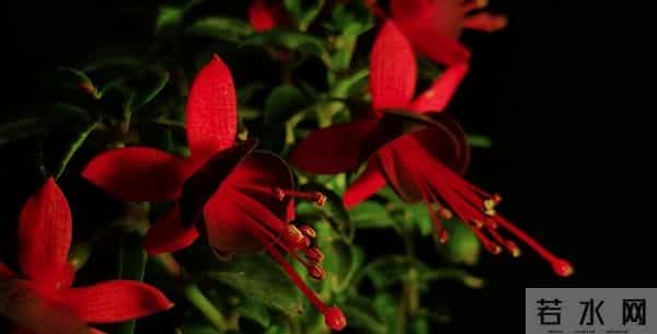 女人好不好追,这样称呼她就明白了