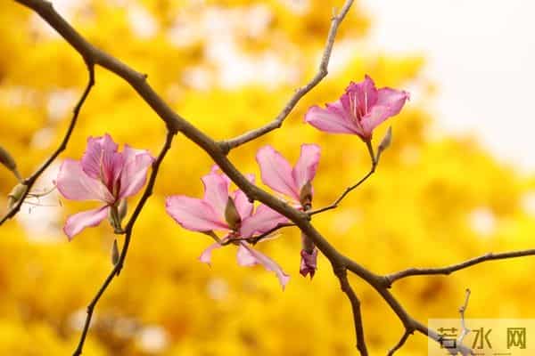 太精辟了！人生有六种恩情，终生不能忘