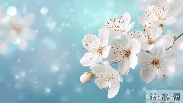 两性关系：60多岁阿姨直言：女人找老伴，最想要的是这点