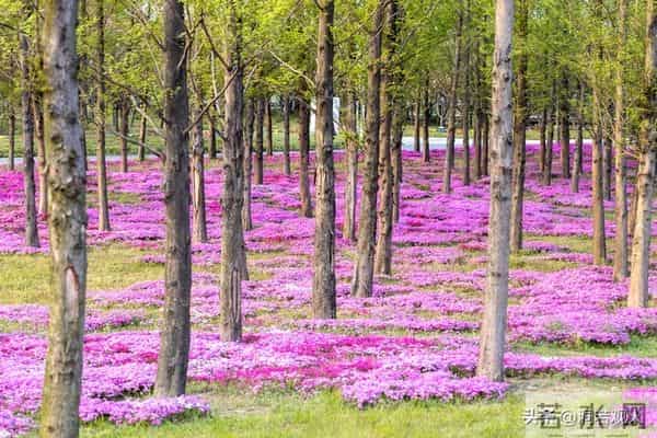 女人到了中年要明白：其实爱不爱已经不重要了，男人而已
