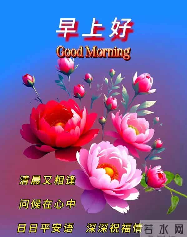 新的一天,新的开始!一句早安,温暖心房;一份祝福,伴你身旁。