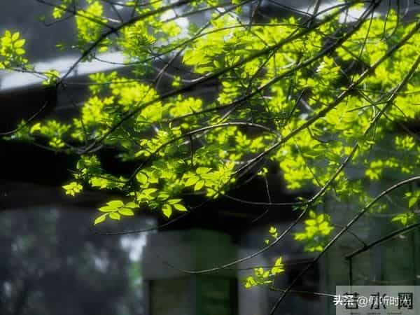 是天意有意让你看到此文，你命中有的早晚都会到你手中