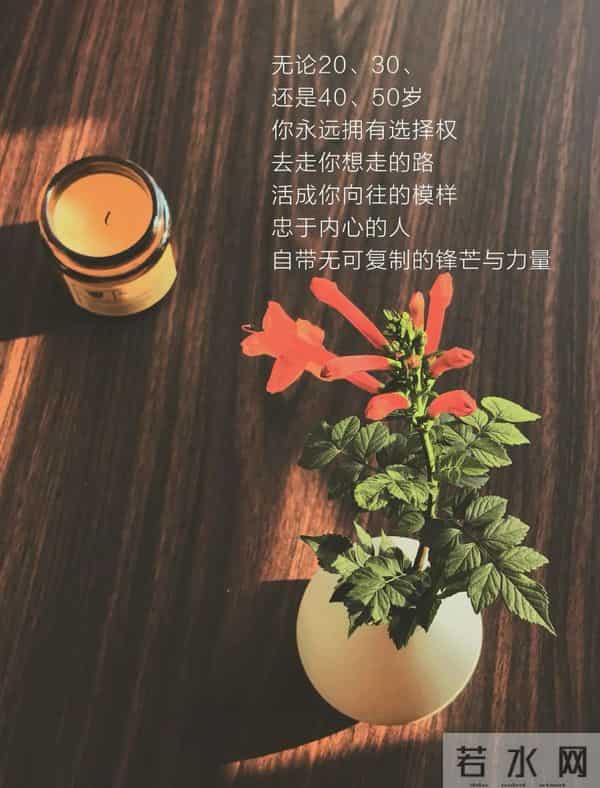 11月27日早上好 早上好清新淡雅图片 早安问候图片最新今天