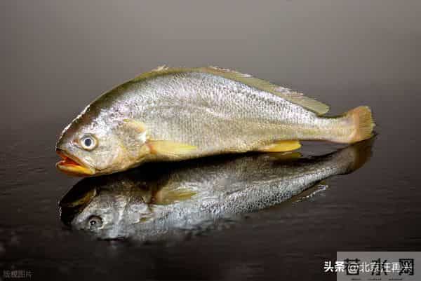 感恩节,你最想感恩的是谁?我选母亲