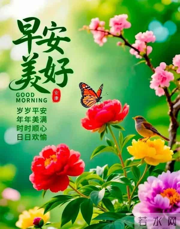 新的一天,新的开始!一句早安,温暖心房;一份祝福,伴你身旁。