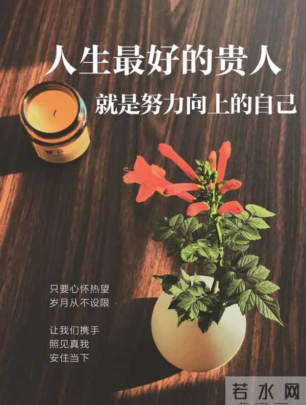 11月27日早上好 早上好清新淡雅图片 早安问候图片最新今天