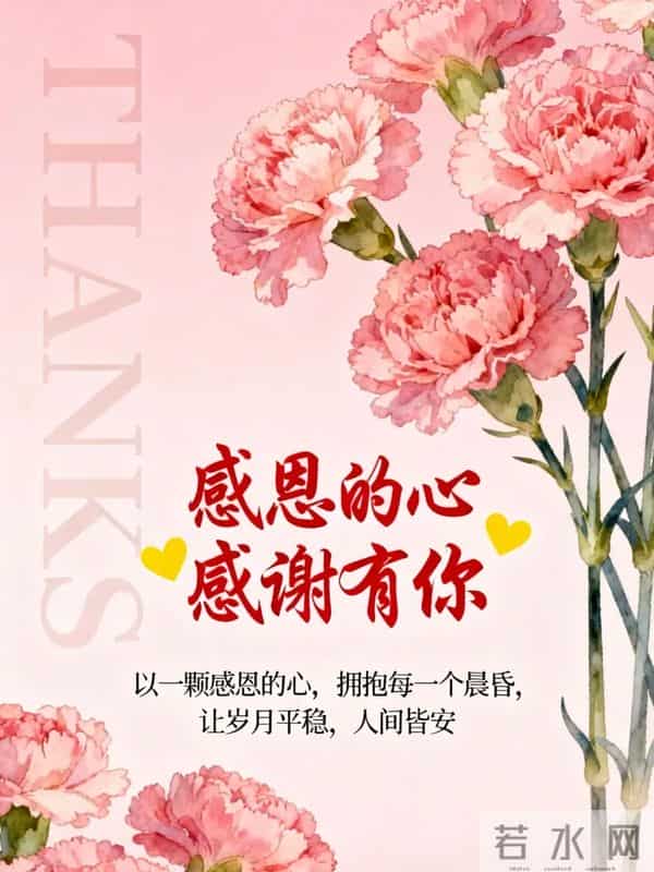 感恩节|以感恩之心 敬岁月温柔