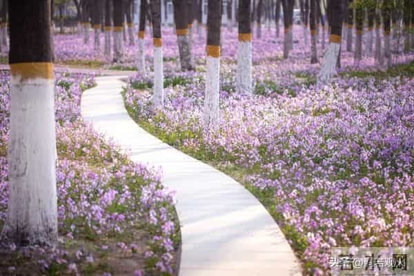 女人愿不愿意让你“泡”，看她是否拒绝这三件事，没拒绝就有戏