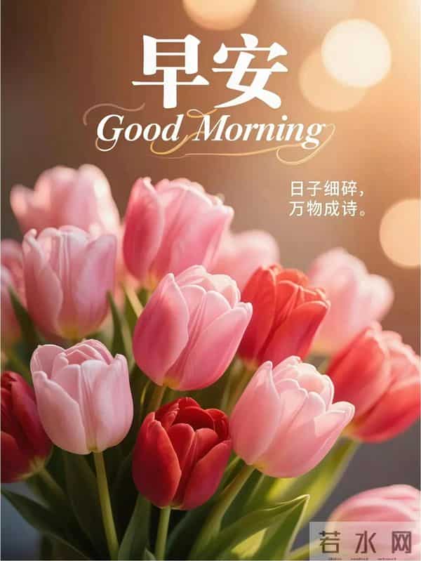 11月27日早上好 早上好清新淡雅图片 早安问候图片最新今天